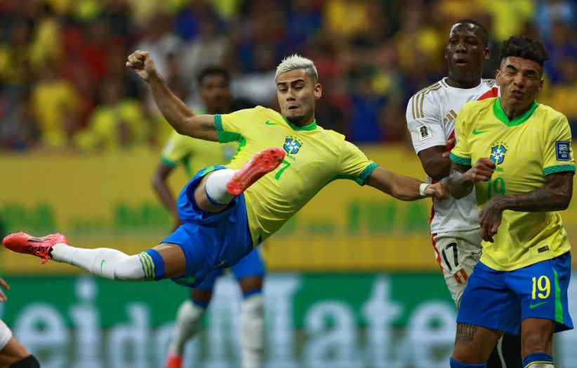 生涯活力的 生涯活力的