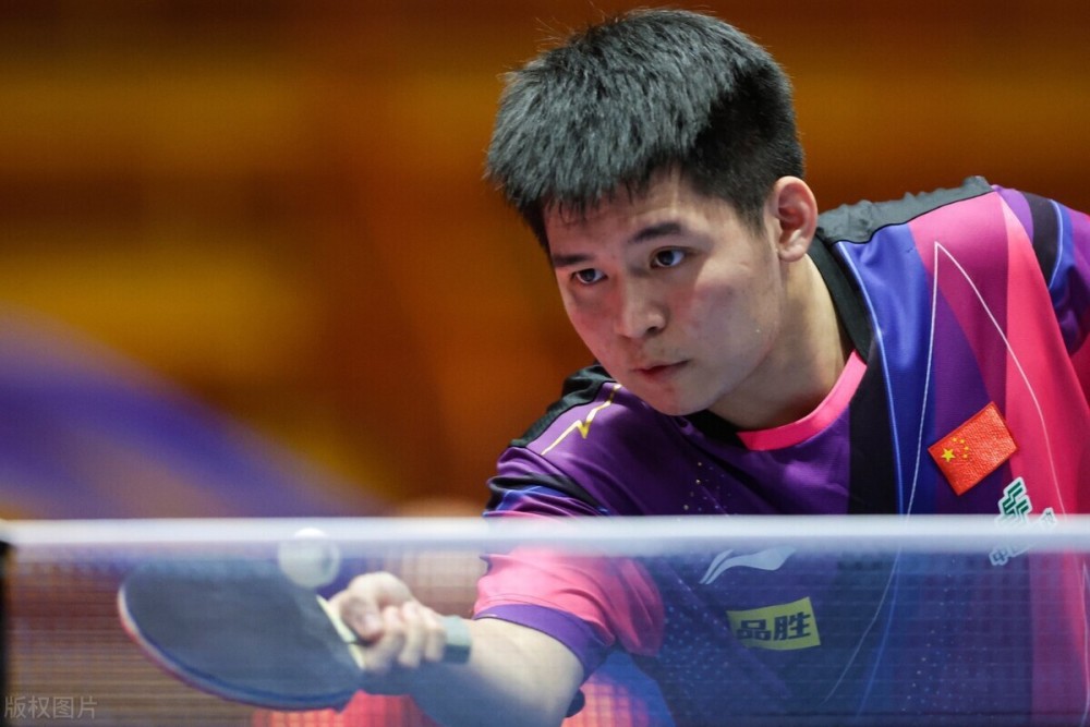 阳光透过树 阳光透过树